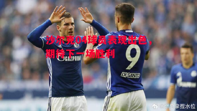 沙尔克04球员表现出色,期待下一场胜利 沙尔克04球员表现出色,期待下一场胜利