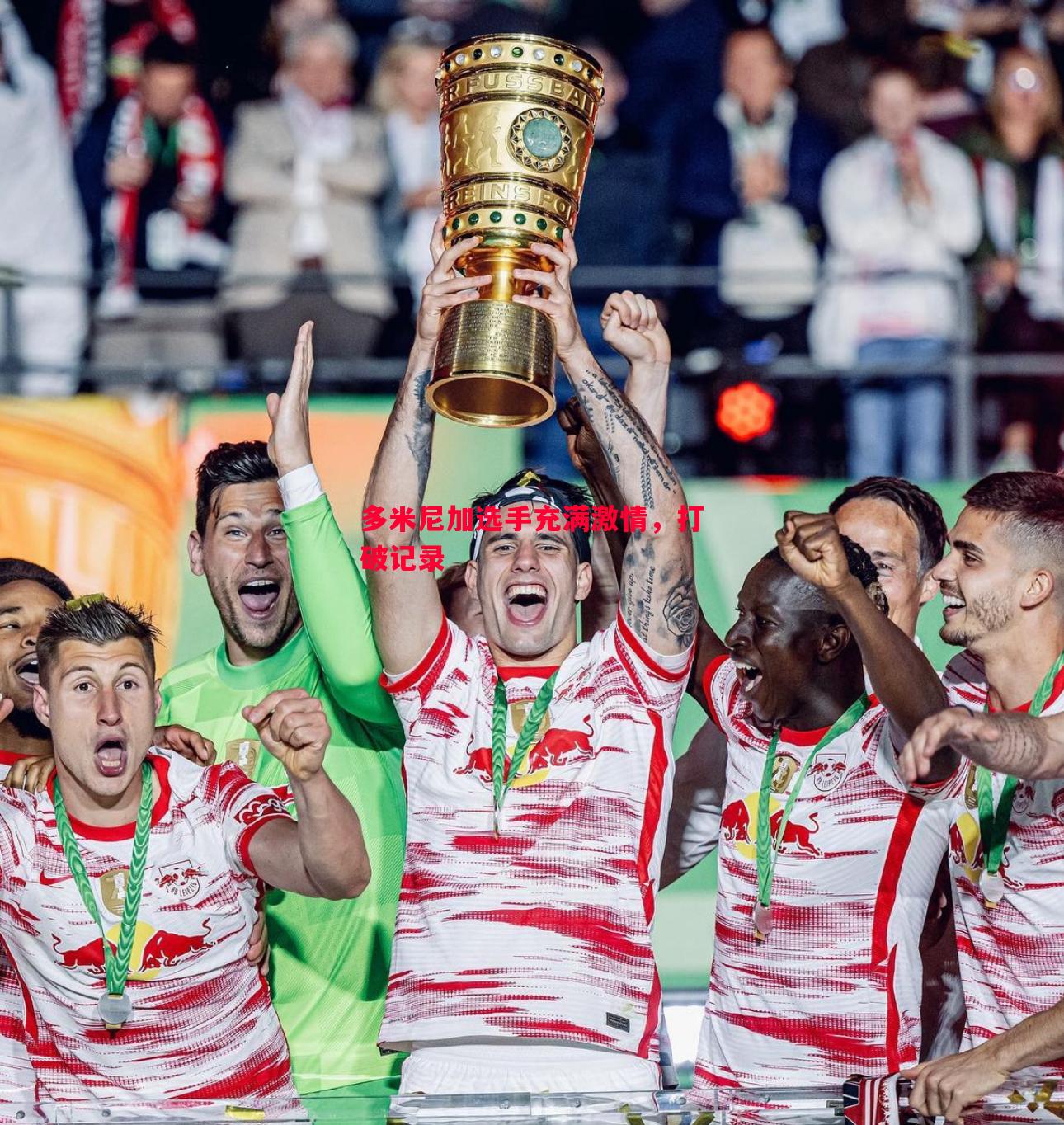 多米尼加选手充满激情,打破记录 多米尼加选手充满激情,打破记录